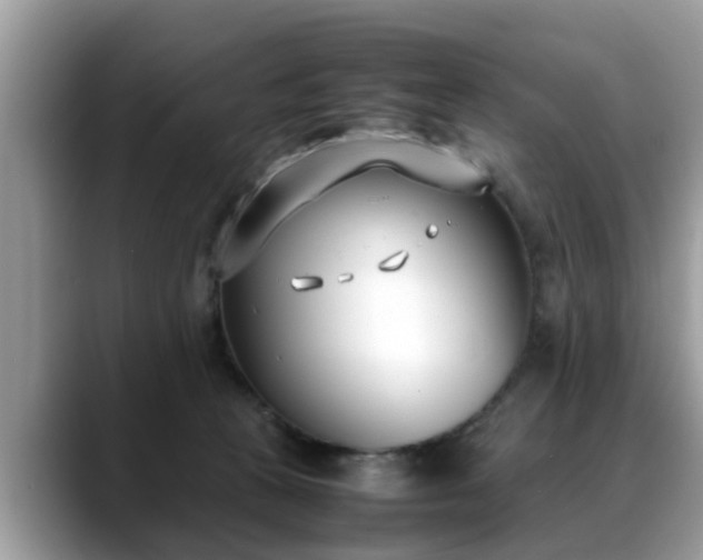 X0000088680273200706071432