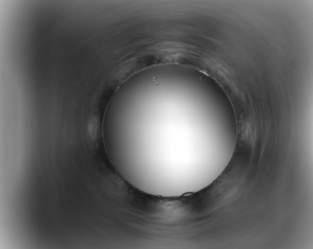 X0000088680283200706071432