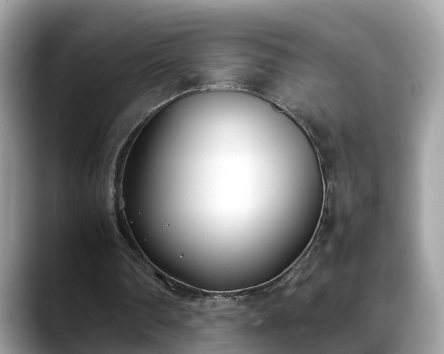 X0000088680290200706071432