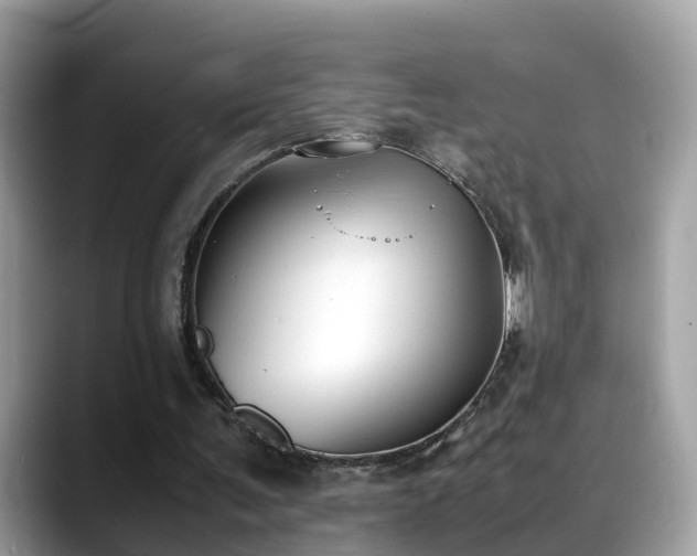 X0000088680291200706071432