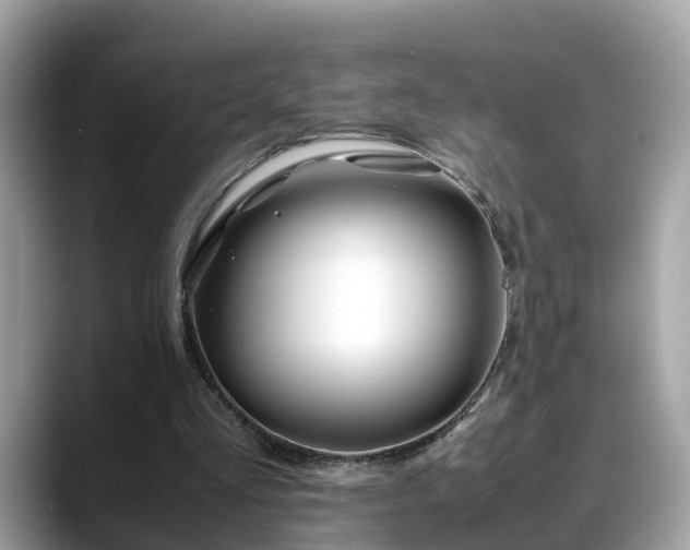 X0000088680293200706071432
