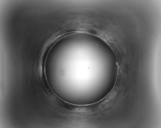 X0000088680294200706071432