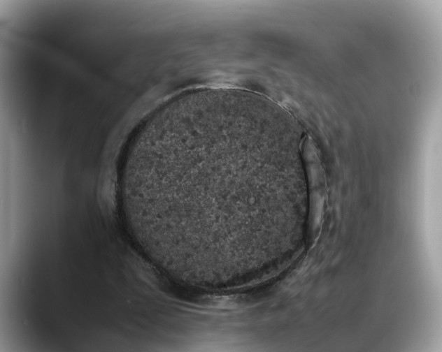 X0000088680295200706071432
