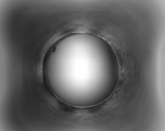 X0000088680296200706071432