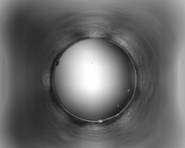 X0000088680299200706071431