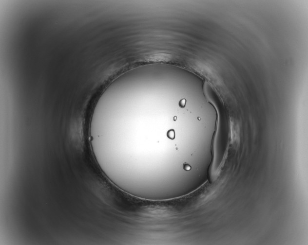 X0000088680300200706071431
