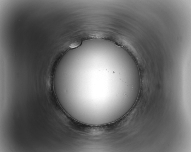 X0000088680305200706071431