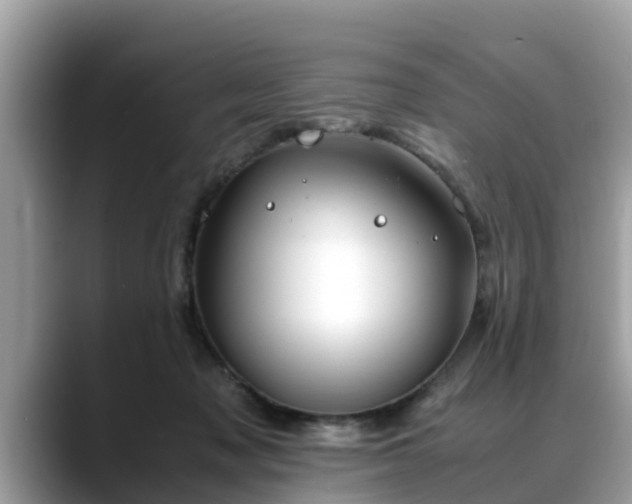 X0000088680317200706071431