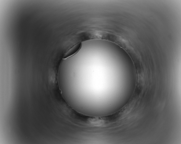 X0000088680331200706071431
