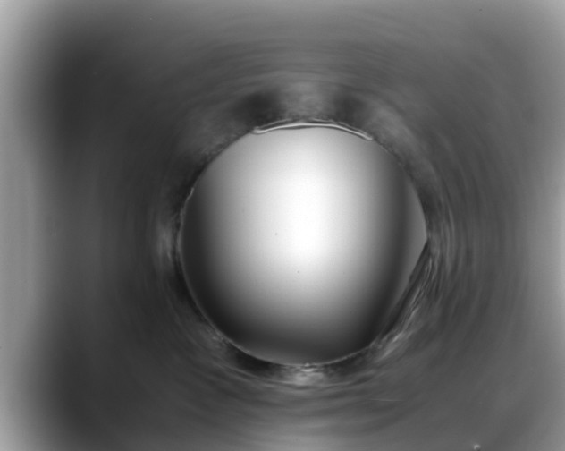 X0000088680333200706071431