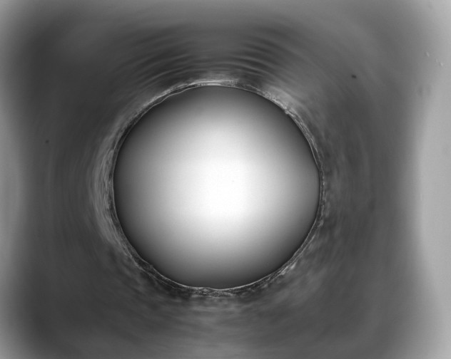 X0000088680337200706071430