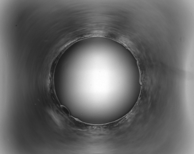 X0000088680338200706071430