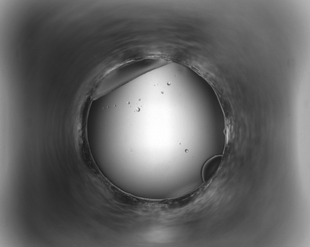 X0000088680339200706071430