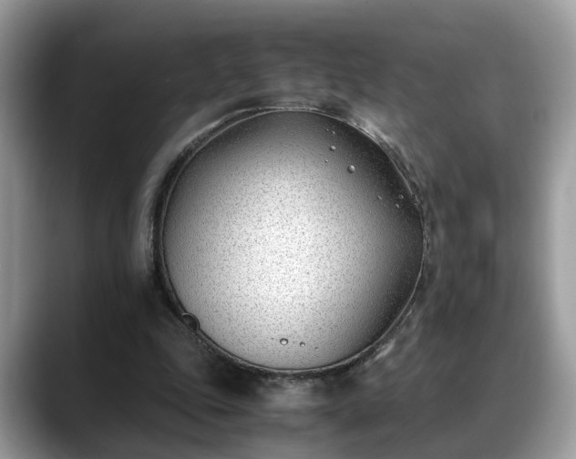 X0000088680343200706071430