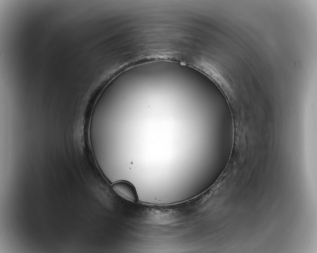 X0000088680346200706071430