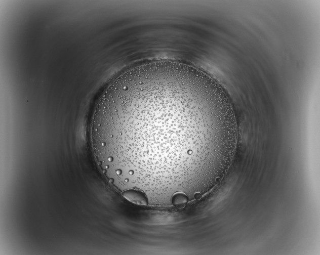 X0000088680347200706071430