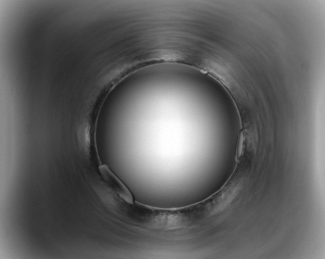 X0000088680350200706071431