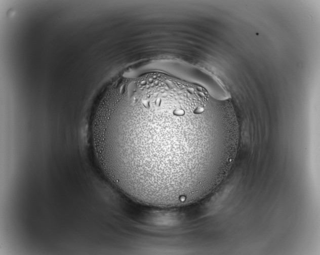 X0000088680351200706071431