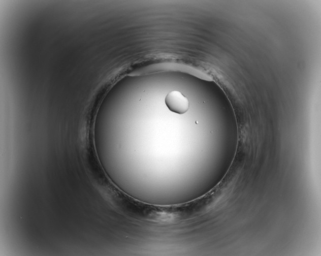 X0000088680352200706071431