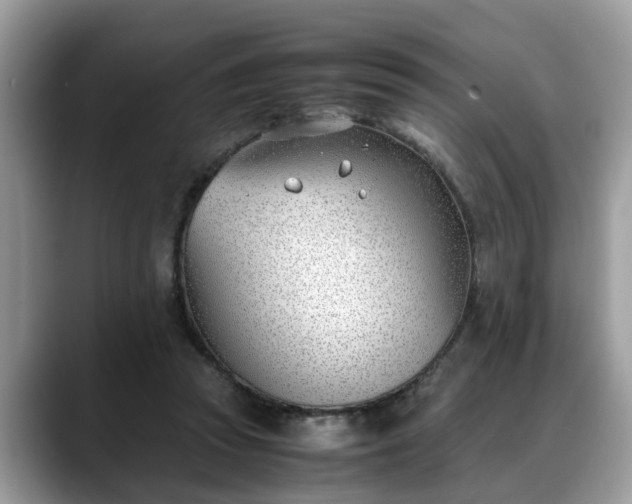 X0000088680353200706071431