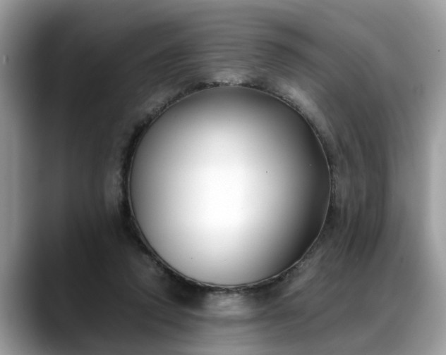 X0000088680354200706071431