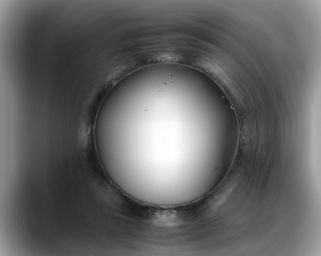 X0000088680355200706071431