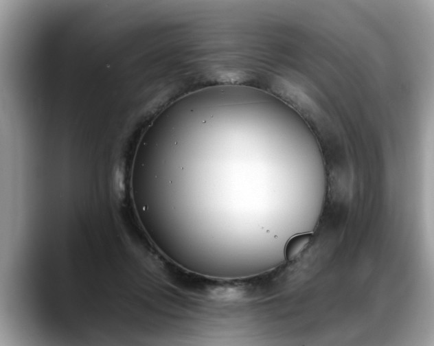 X0000088680358200706071431
