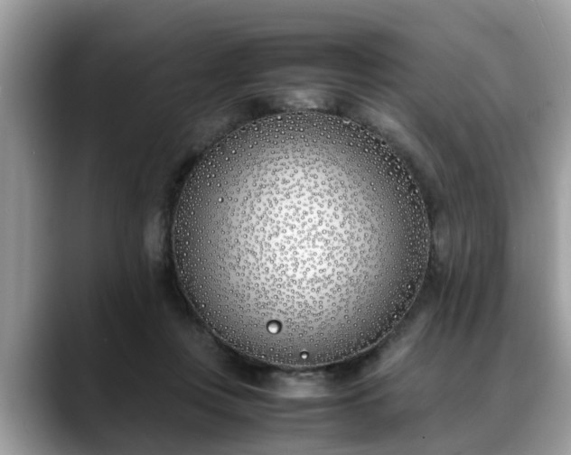 X0000088680359200706071431