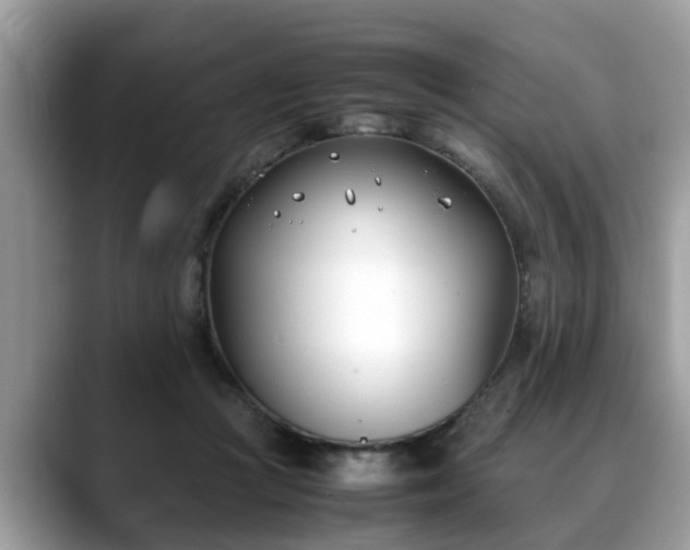 X0000088680361200706071431