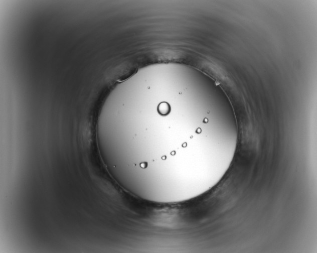 X0000088680362200706071431