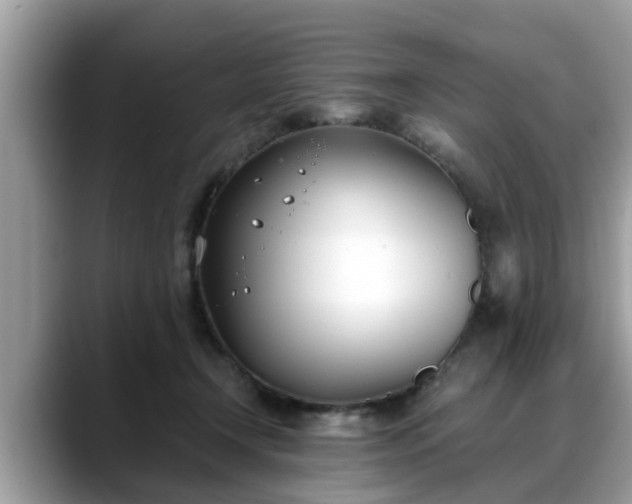 X0000088680366200706071431