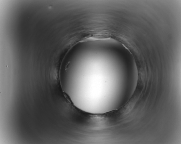 X0000088680380200706071431