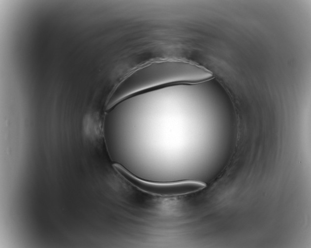 X0000088680384200706071431