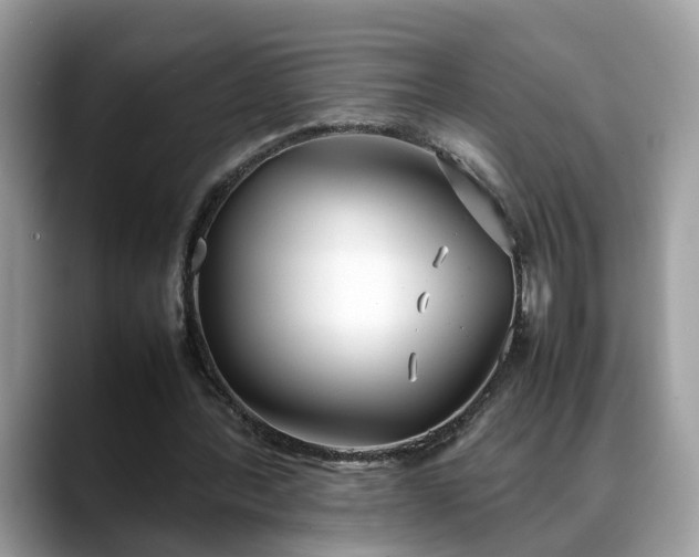 X0000088680388200706071430