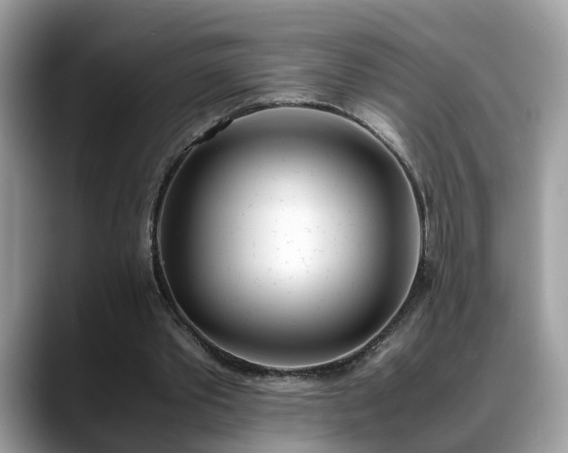 X0000088680389200706071430
