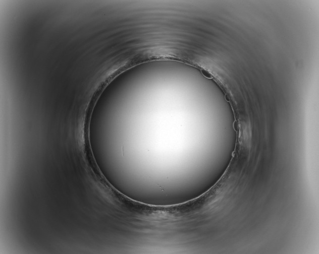 X0000088680390200706071430