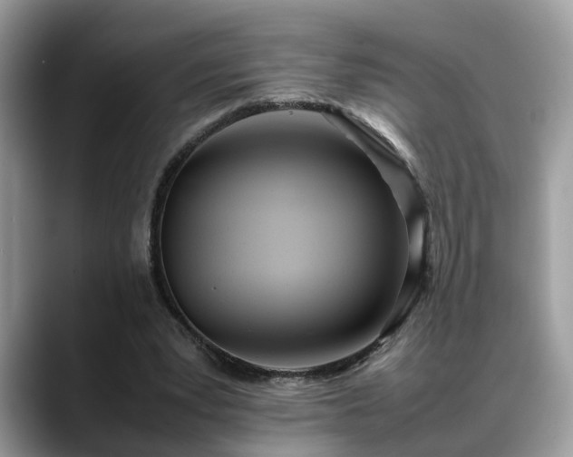 X0000088680391200706071430