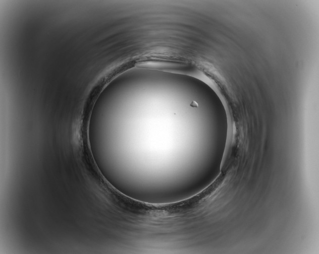 X0000088680392200706071430