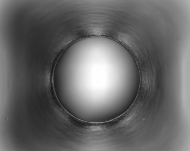 X0000088680394200706071430