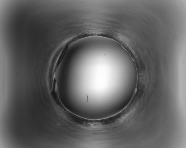 X0000088680395200706071430