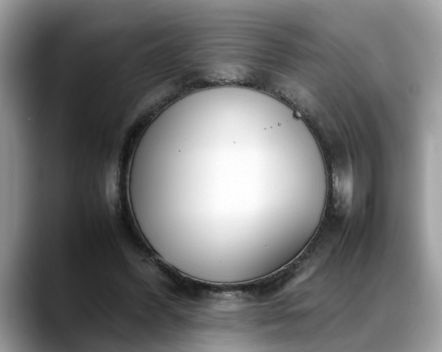 X0000088680396200706071430