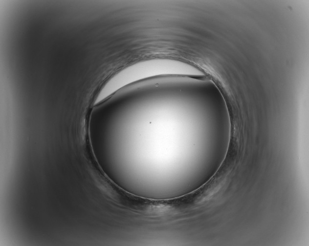 X0000088680397200706071430