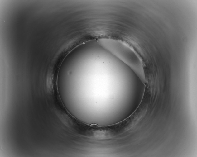 X0000088680400200706071430