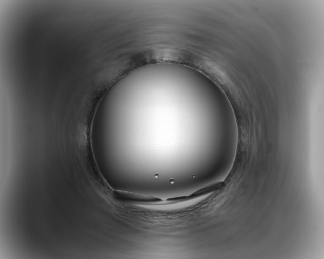 X0000088680401200706071430