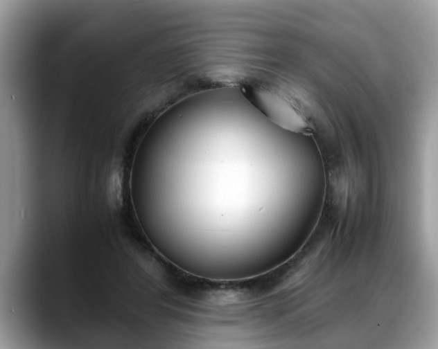 X0000088680404200706071430