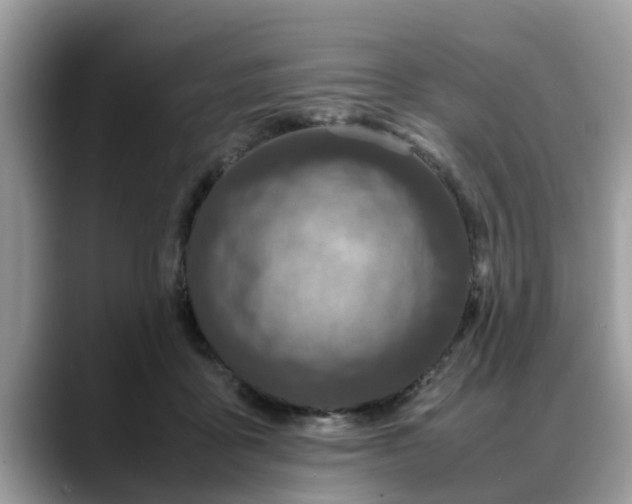 X0000088680411200706071430