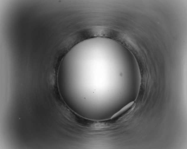X0000088680413200706071430