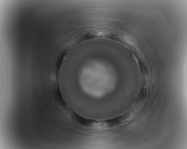 X0000088680415200706071430