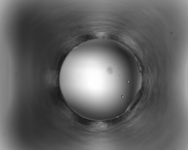 X0000088680421200706071430