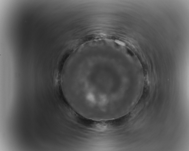 X0000088680423200706071430